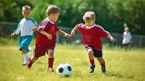 乐鱼体育 资讯 173519 dps