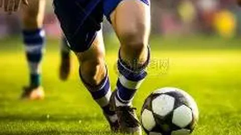 乐鱼体育 资讯 173538 439