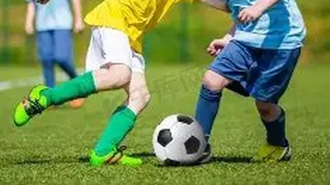 乐鱼体育 资讯 083856 som