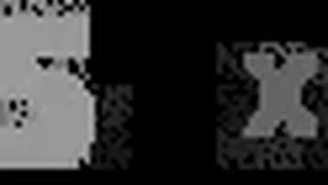 詹姆斯40分制胜，客场击败开拓者